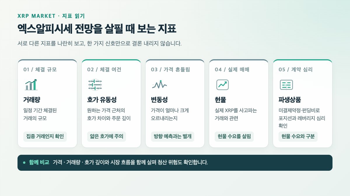 XRP 시장 지표 비교: 거래량·호가 유동성·변동성·현물·파생상품